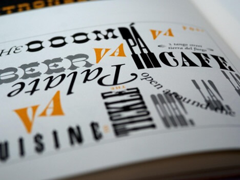 This is an image of an open book with an open page. On the page are different styles of fonts in various colors such as black, gold, and gray.