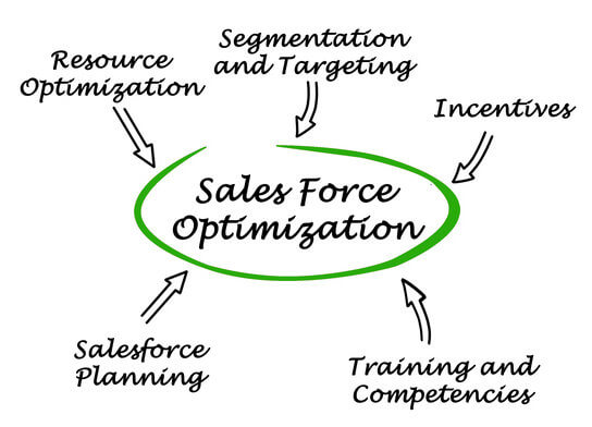 Salesforce Integration Services