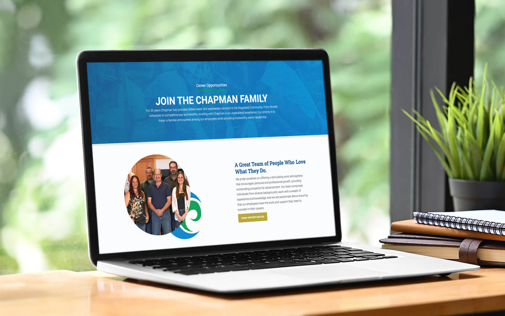 Chapman Environmental Services Branding